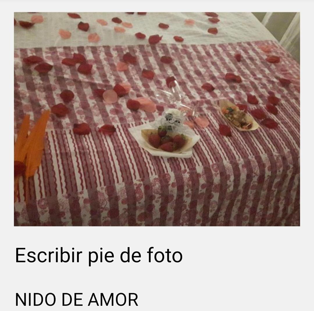 Apartamentos Catalunya プラヤ・デアロ エクステリア 写真